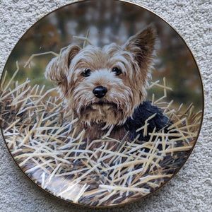 Adorable Limited Edition Yorkie Collector Plates